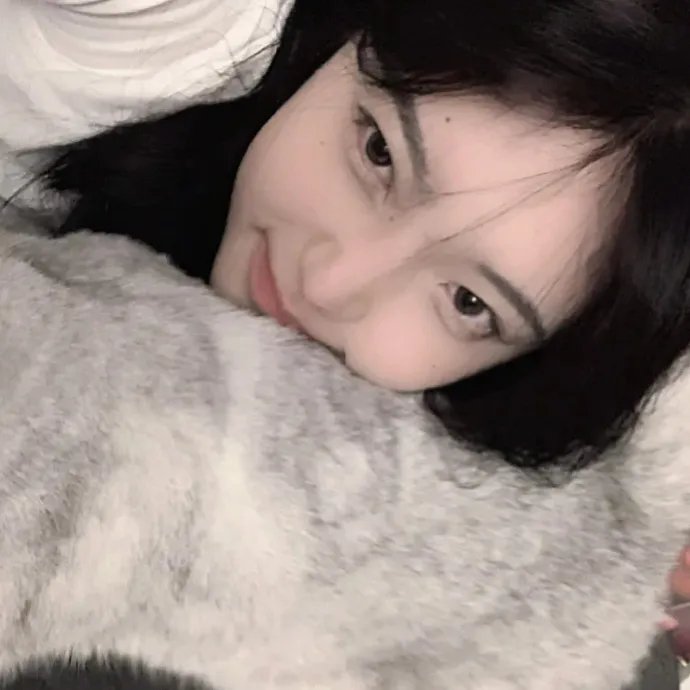 铁蹄慈泪