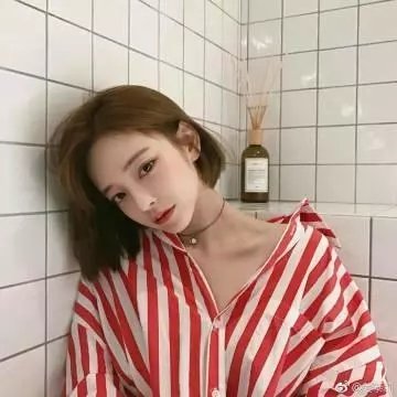 野猫嬉春